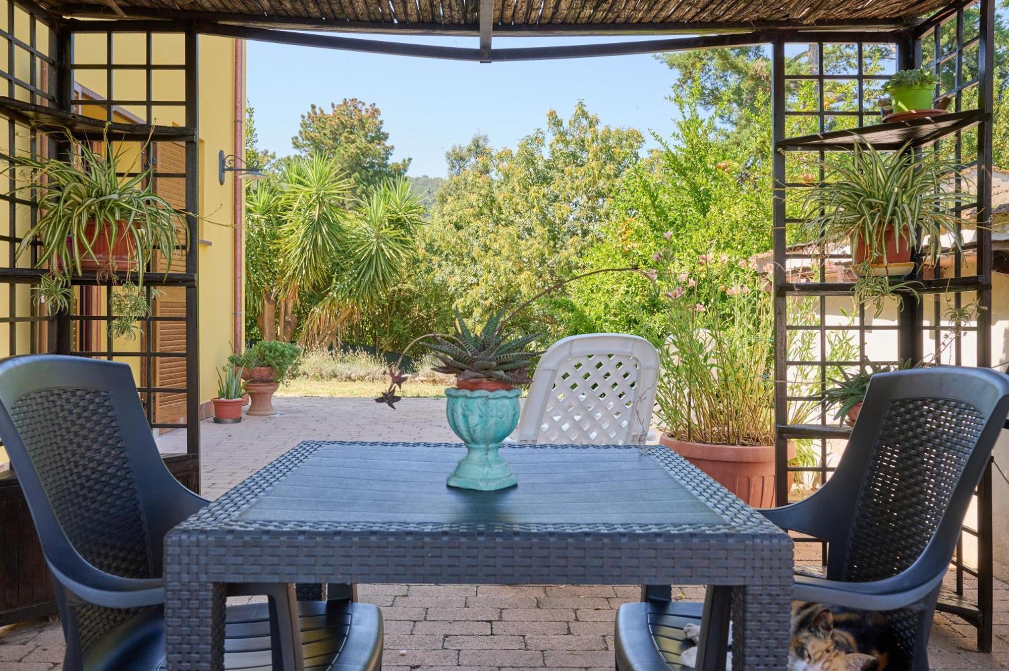 Ferienwohnung Monolocale Di Meo Suvereto Exterior foto